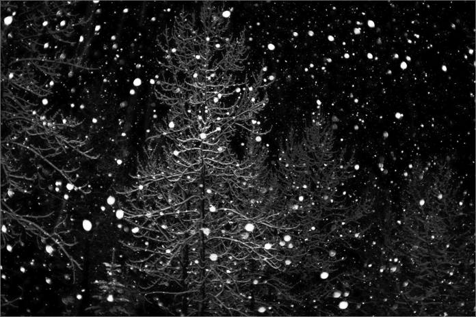 2014 © Christopher Martin