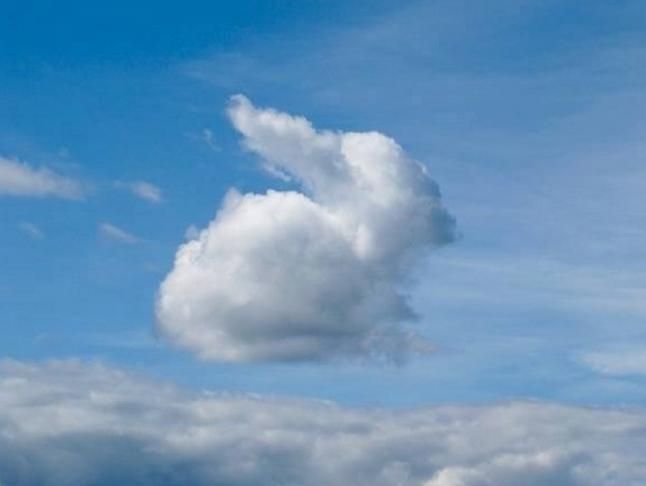 rabbit-cloud