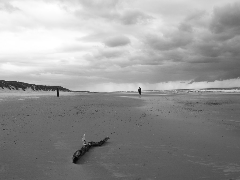 2468509978_617e4a573d_b